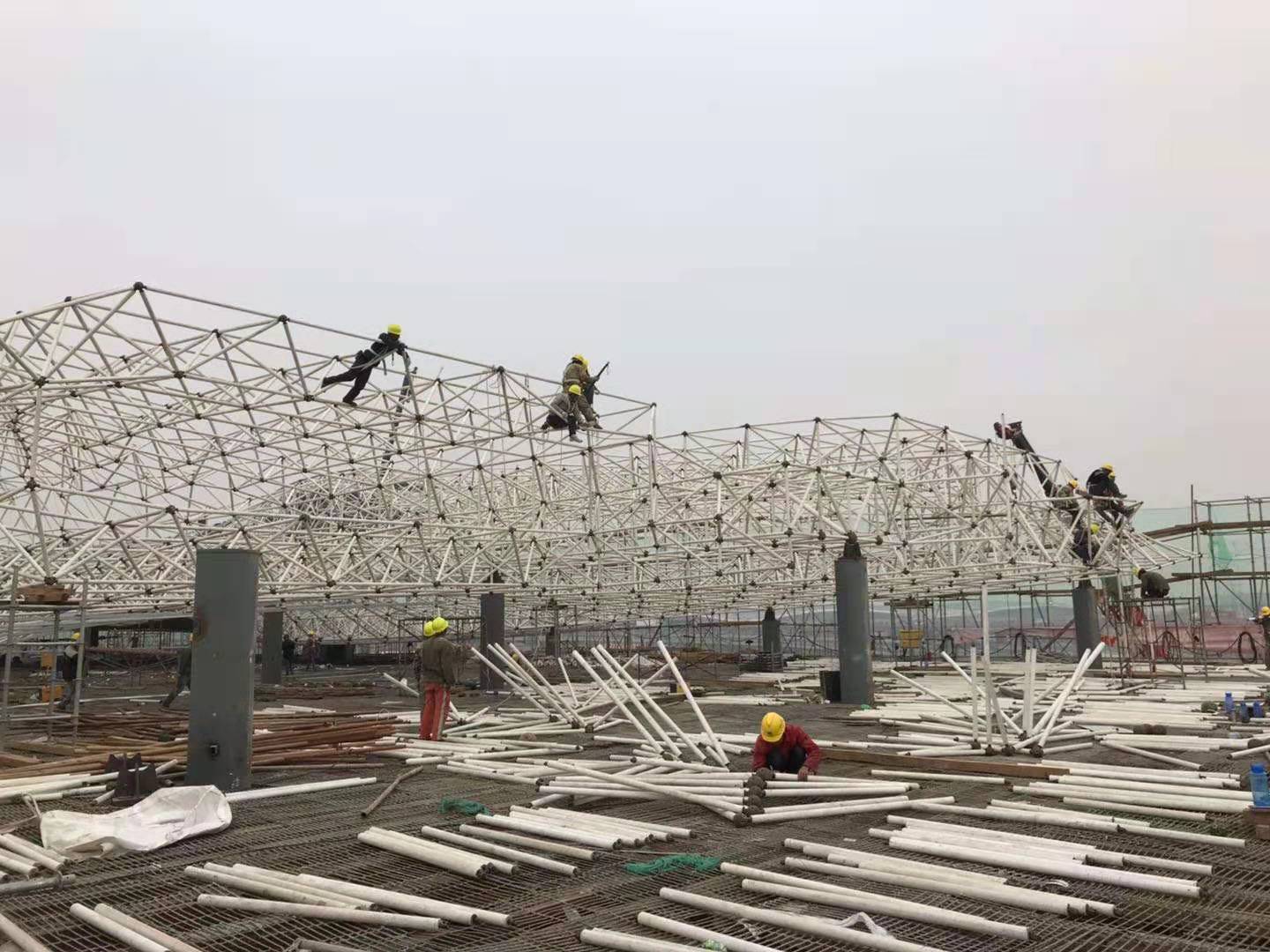 �Ͼ������